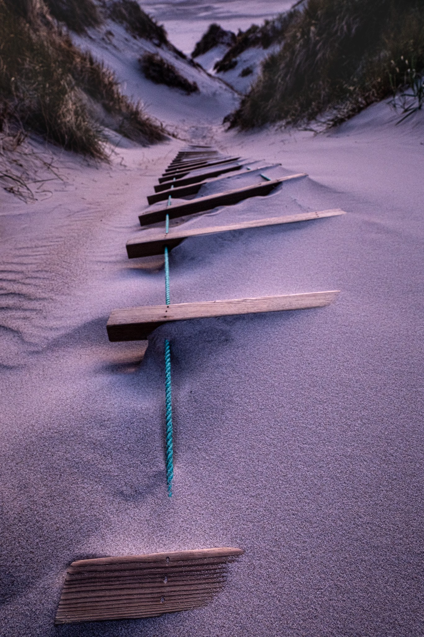 2025 05 15  xt 5   4272 2